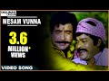 Sneham Kosam Movie Mesam Vunna Video Song Chiranjeevi Meena