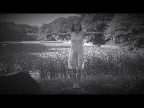 Blip Pilot - Siren (Video)