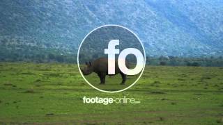 Download lagu Rhino Wildlife Stock footage 014967 UHD mp3