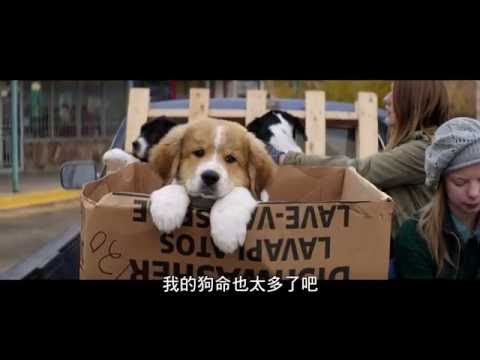 【為了與你相遇】首支暖心預告-2017年2月24日 你是唯一