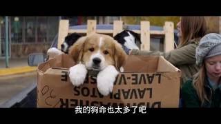 [討論] 過年適合在客廳放的電影