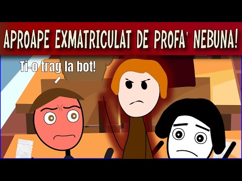 POVESTI DIN LICEU: APROAPE EXMATRICULAT DE PROFA NEBUNA!