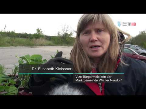 Aktion Gratiserde und Pflanzentauschbörse