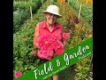 #135: Northern Growing Tips from Janis Harris of Harris Flower Farm