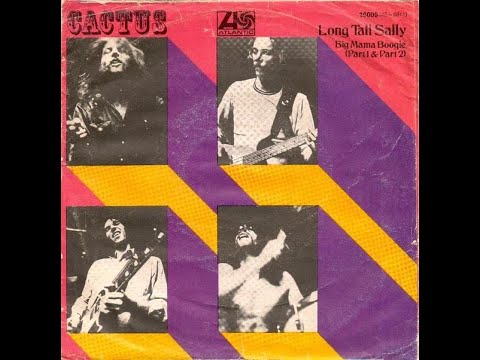 Thumbnail for Cactus LONG TALL SALLY (Mono Edit) ("Evil Is Going On:The Atco Albums 1970-1972") (Guitar Improv 4) by Vanilla Fudge