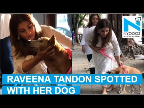 Raveena Tandon snapped struggling with her dog