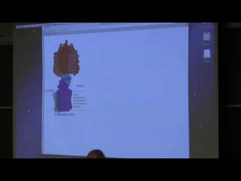 Kevin Ahern's BB 350 (Electron Transport/Oxidative Phoshorylation) 2014 - #31