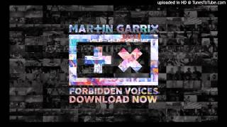 Martin Garrix   Forbidden Voices  Audio