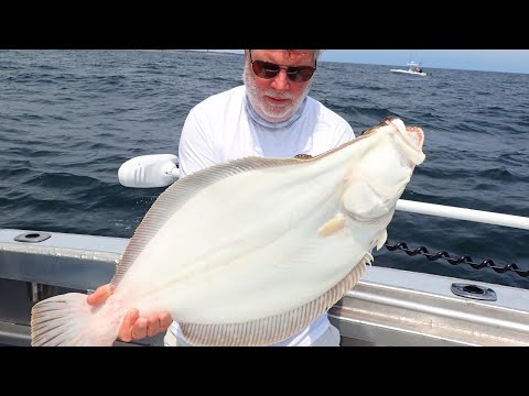 Best Big Fluke (Flounder) Fishing in Years - After One Small Change!