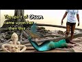 Girl 'turns to mermaid' after she was possessed by Osun river goddess