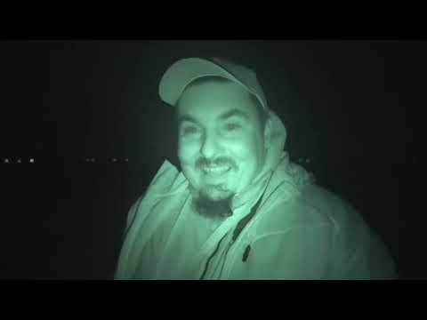 Stażysta 42 - Nocne dziki, pilnowanie zasiewów i bliskie spotkania ze zwierzyną