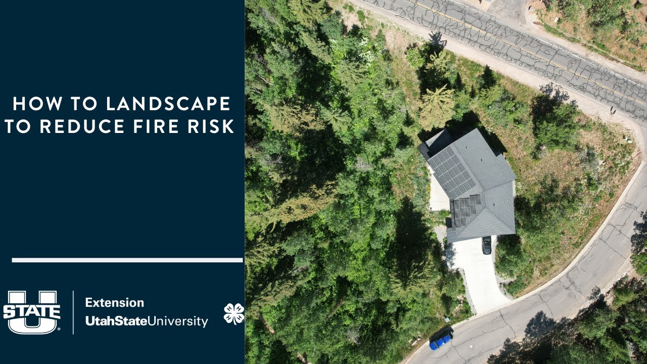 How to Landscape to Reduce Fire Risk