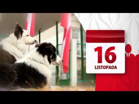 Wybory Samorządowe 2014 — Termin wyborów 1 tura