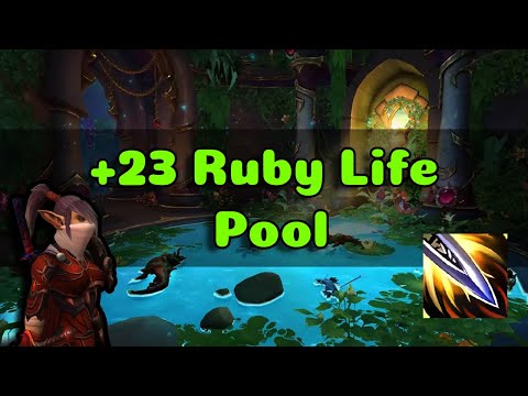 "Mini bosses are scarier than REAL bosses" | Outlaw rogue | +23 Ruby Life Pool