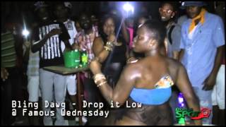 Bling Dawg   Drop it Low Famous Wed  Nov  20, 2013