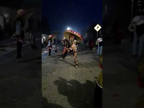 Danza "Tecuanes Herencia Mixteca" de Tepatlaxco Puebla ✨️