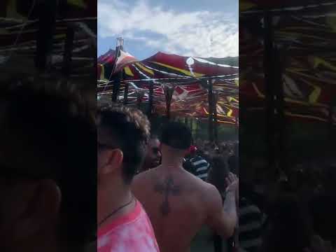 Terratronic - 2022 - Ticon x Animato