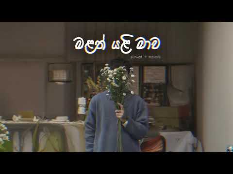 Malath Yali mawa   | Slowed+Reverb | මළත් යළි මාව | @SlowedHeartz