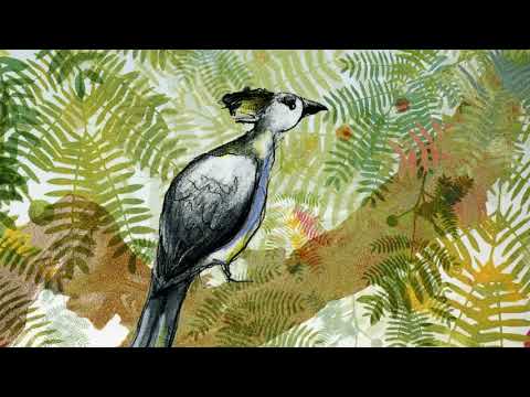 The Go-Away Bird | CawCawbooks | Book for Kids Read Aloud