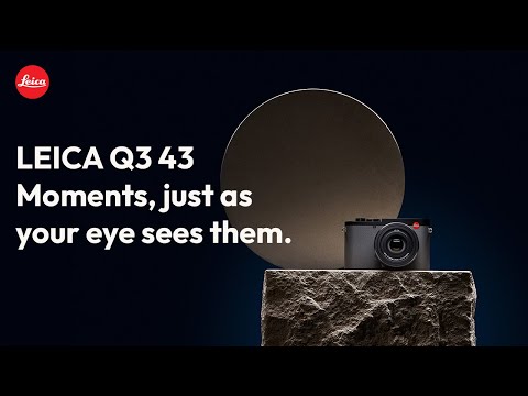 Miniatura del v&iacute;deo