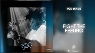 Rod Wave - Fight The Feeling (432Hz)