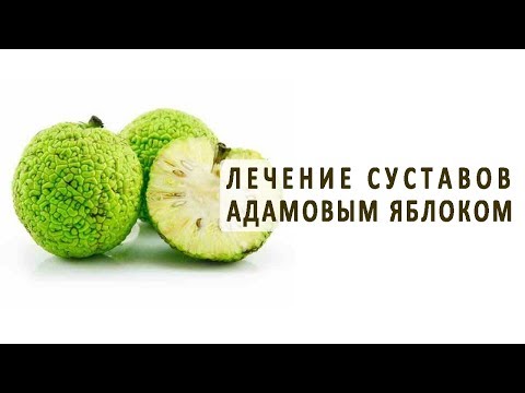 Грыжа позвоночника причина лечение Остеохондроз коленных суставов артрит артроз
