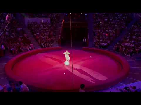 Plotnikov's - Juggler on the ball