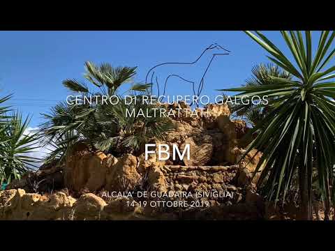 Centro di volontariato in Spagna