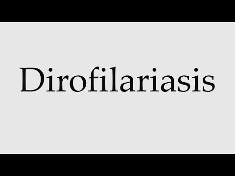 helmintus dirofilaria erős gyógyszerek paraziták ellen