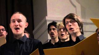 The tears will flow inside (Öhlinger/Raab)