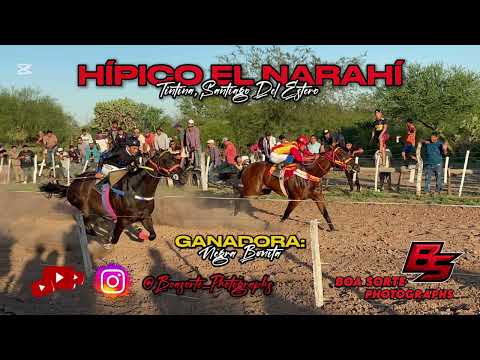 NEGRA BONITA (Hípico El Narahí, Tintina, Sgo Del Estero) 06/12/2025
