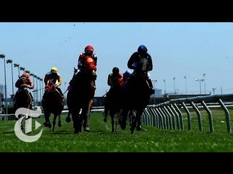 Deconstructing a Horse Race - The Jockey | The New York Times