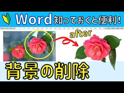 Word のヒント: 画像を背景として挿入する