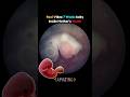 Real Video of 7 Weeks Baby in Mother's Womb 🥰💯 #pregnancy #fetus  #embryo