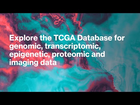 Explore the TCGA Database: Genomic to Imaging Data for Cancer Research