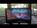 IMG 0076