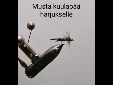 Perhonsidonta.. Sidotaan musta kuulapäänymfi harjukselle.