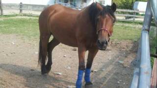 Ted♥ (Your Love Is Like The) Mountain Water