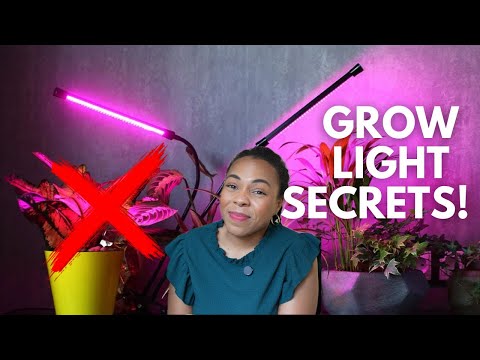 💡Confused About Grow Lights? I've Got You! (🛍️Shopping Tips + Grow light Tour)🌱💡