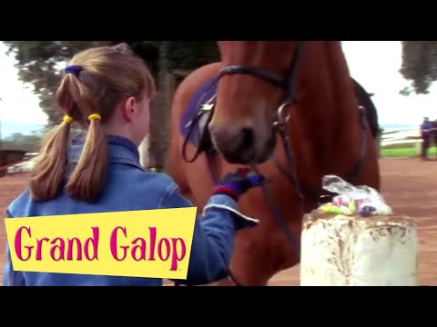 Grand Galop - Une jument capricieuse | Episode Complet | Saison 1 | Episode 7 | Saddle Club Français