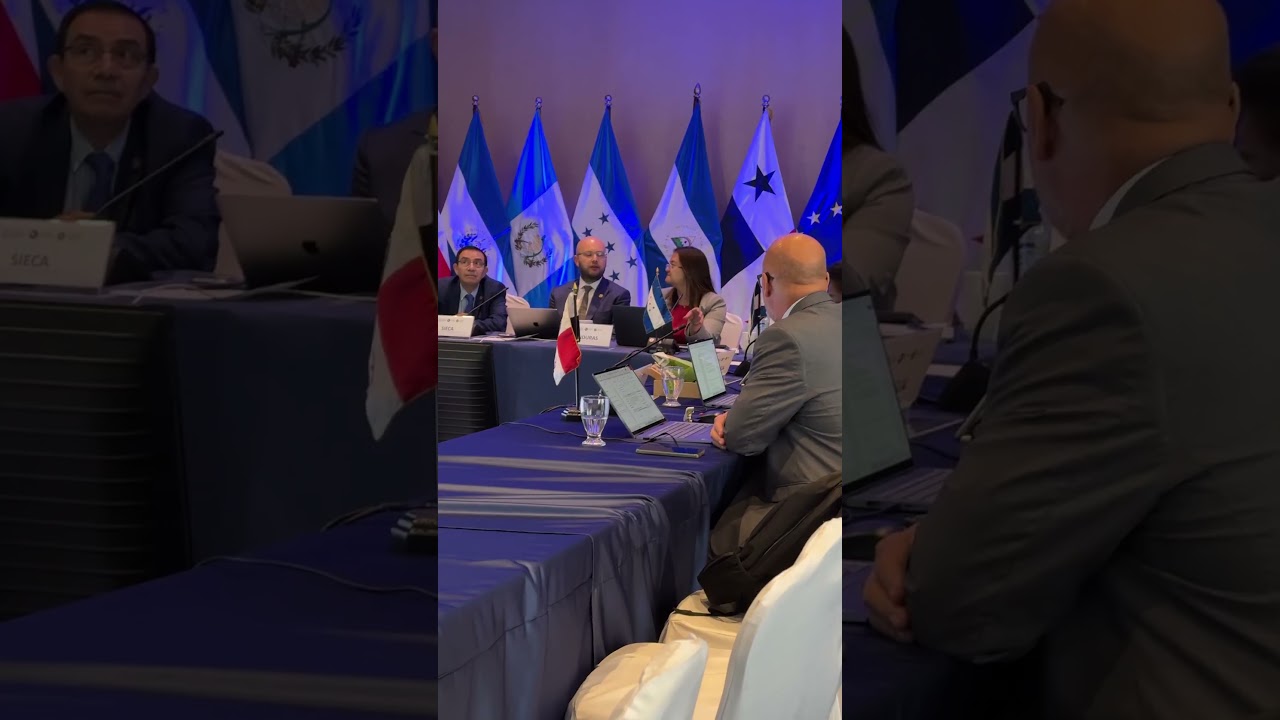 Reunión de Directores de Integración Económica (DIE)