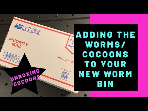 Worm Bin Basics Episode 2: Adding Your Worms or Cocoons to the New Bin