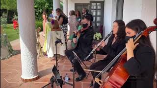 La Rosa de los Vientos de Mago de Oz Cover Instrumental | Música para bodas | Trío EnClave Maestoso