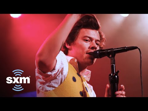 Harry Styles Kiwi-v2 song