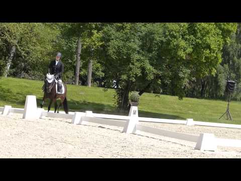 Bayerische Meisterschaft 2013 Dressur