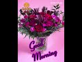 Good Morning Beautiful Flower 🌹 What’s Up Status | Good Morning Wallpaper With Music 🎶 | Shorts - Kolam In VJ Style Good Morning Beautiful Flower 🌹 What’s Up Status | Good Morning Wallpaper With Music 🎶 | Shorts