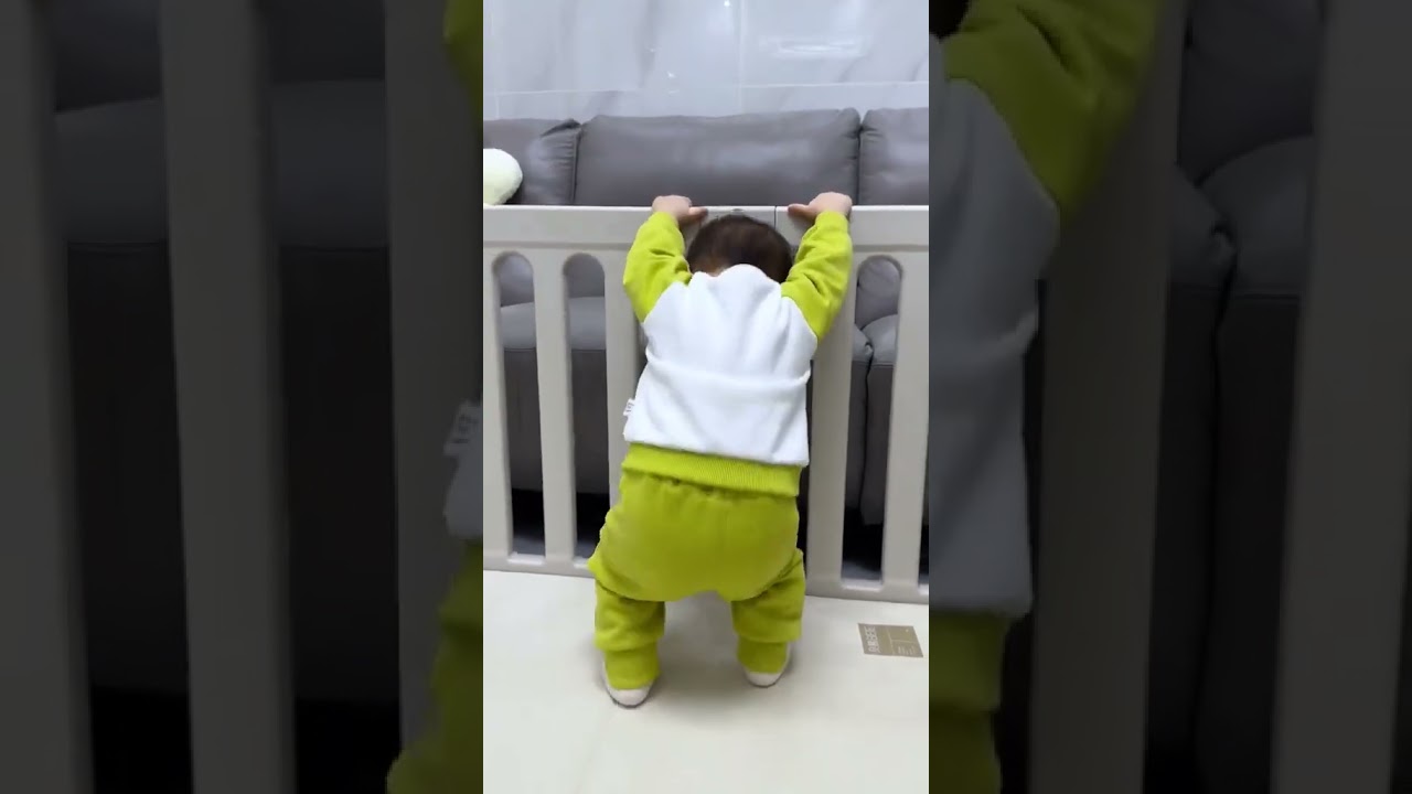 Cute Mexica Plus Dancing Cactus Electric Plus Toy