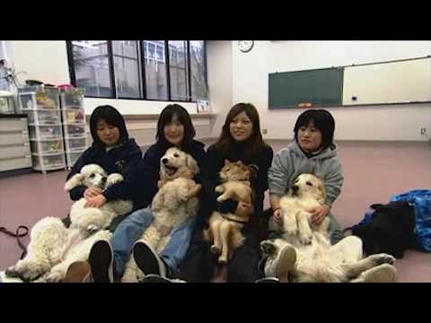 麻布大学 研究室紹介30_介在動物学研究室