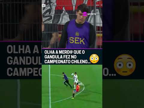SEM PALAVRAS PRO QUE O GANDULA FEZ, PQP! 🤯😳😱 INVADIU O CAMPO E ACABOU COM O ATAQUE #shorts