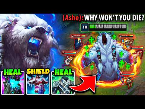 THIS INFINITE HEALING VOLIBEAR BUILD IS HILARIOUSLY BROKEN (150,000 DAMAGE BLOCKED)